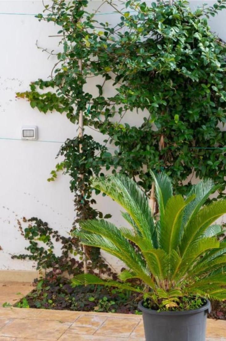 Aurora E Alba Apartment Casalabate Exterior photo